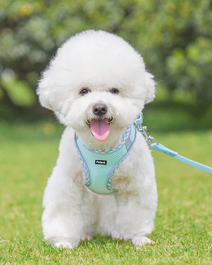 Petank Dog Harness for Small Medium Dogs No Pull, Puppy Harness and Leash Set, Step in Dog Harness for Walking, Running, Training, Small Dog Vest, Medium Dog Vest (Light Blue, M)