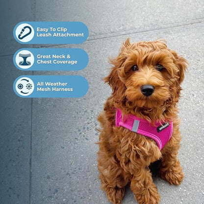 Best Pet Supplies Voyager Step-in Air All Weather Mesh Harness and Reflective Dog 5ft Leash Combo with Neoprene Handle, for Small, Medium and Large Breed Puppies - Set (Fuchsia), Large