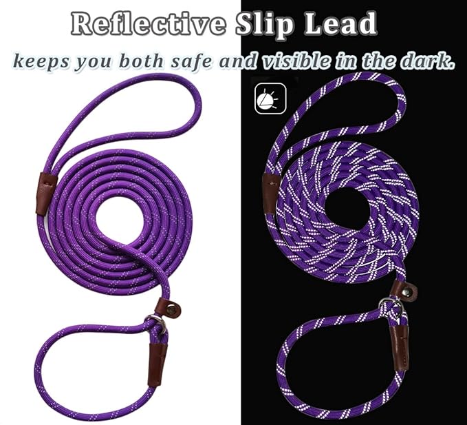 WYUZE 2 Pack 8 ft Slip Lead Dog Leash, Reflective No Pull Dog Training Lead, 1/3" Nylon Rope Slip Leash for Small Medium Dogs (Purple+Green)