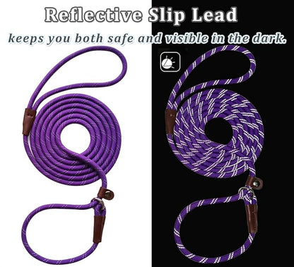 WYUZE 2 Pack 8 ft Slip Lead Dog Leash, Reflective No Pull Dog Training Lead, 1/3" Nylon Rope Slip Leash for Small Medium Dogs (Purple+Green)