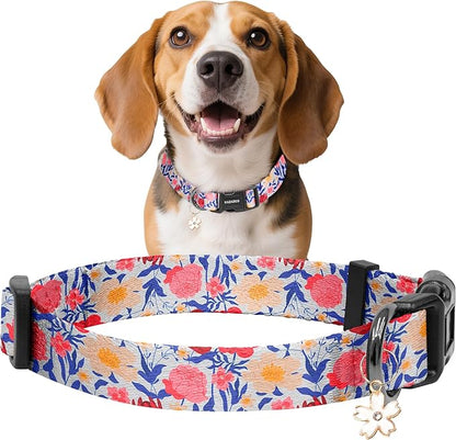 Kazazoo Dog Collar Cute and Soft Nylon Puppy Collar Girl, Adjustable Dog Collars for Small Medium Dogs, Blue and Pink Flowers-M