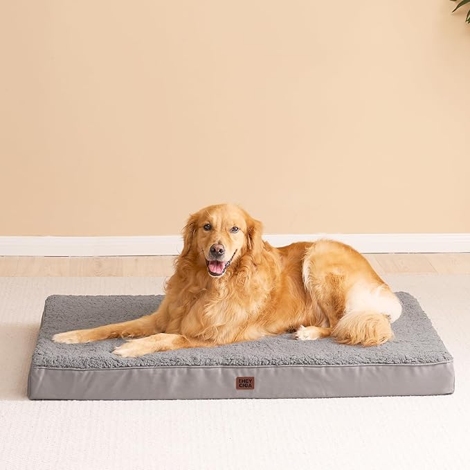EHEYCIGA Orthopedic XXL Dog Beds for Jumbo Dogs with Removable Washable Cover,Light Grey, 50x36