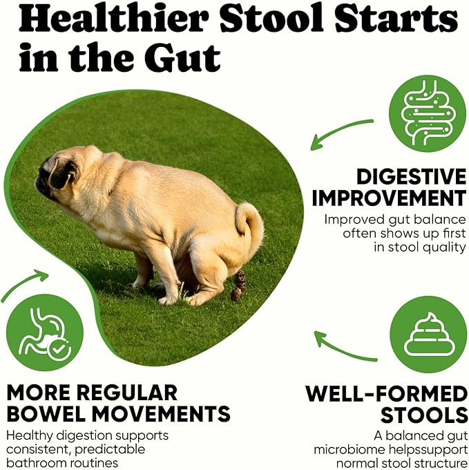 Probiotics for Dogs – Helps Digestion, Loose Stools, Gas & Sensitive Stomachs, Probiotics for Itchy Skin & Dog Yeast Infection, Immune & Fresher Breath with 4 Prebiotics & 5 Digestive Enzymes – 180 ct