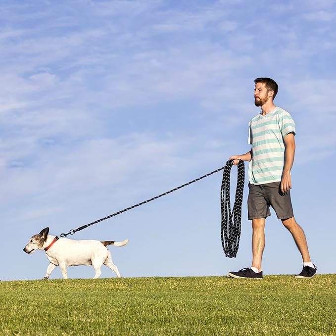 Long Dog Leash for Training 20Ft-Reflective Nylon Rope with Swivel Hook-Recall Agility Lead for Large Small Medium Dogs Outside Walking Hiking-Black