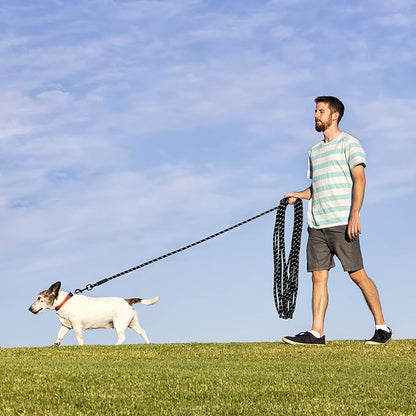 Long Dog Leash for Training 20Ft-Reflective Nylon Rope with Swivel Hook-Recall Agility Lead for Large Small Medium Dogs Outside Walking Hiking-Black
