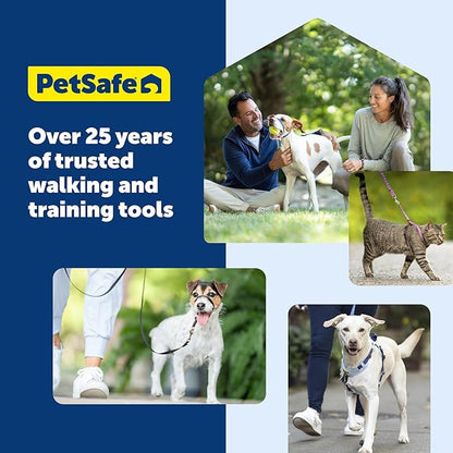 PetSafe Gentle Leader Headcollar No-Pull Dog Collar - Helps Improve Walks - Durable Nylon Construction - Padded Nose Loop - Adjustable Fit - Comfort Walking Halter - Small, Deep Purple