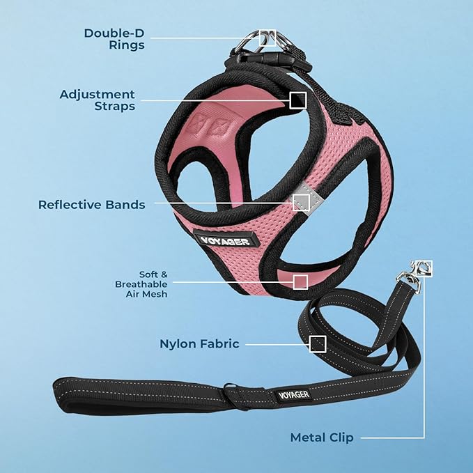 Best Pet Supplies Voyager Step-in Air All Weather Mesh Harness and Reflective Dog 5ft Leash Combo with Neoprene Handle, for Small, Medium and Large Breed Puppies - Set (Pink Base), Small