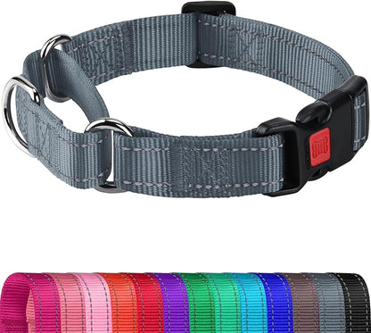 Joytale Martingale Collar for Dogs, Reflective Heavy Duty for Safety, Quick Release Buckle, Adjustable Nylon Collars for Medium Dogs Walking Training, Gray,M
