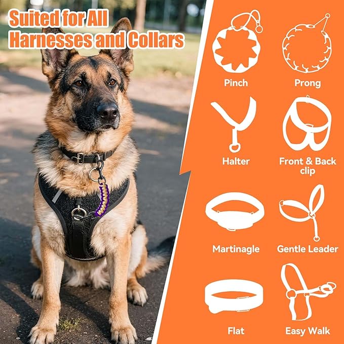 Dog Collar Safety Clip, Collar Companion, Handmade Backup Safety Strap, Double-Ended Clip Leash Connector, Suitable for Dog Harnesses, Prong, Pinch Collars (Purple,Gold, 1 Pack)