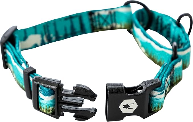 Wolfgang Heavy Duty Martingale Dog Collar with Quick Release Nylon Buckle for Walking & Training, GreatEscape Print, Large