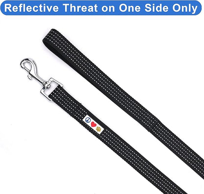 Pawtitas Black Dog Leash 6 ft XS/S Reflective Durable Lightweight Dog Lead for Small Dogs and Puppies