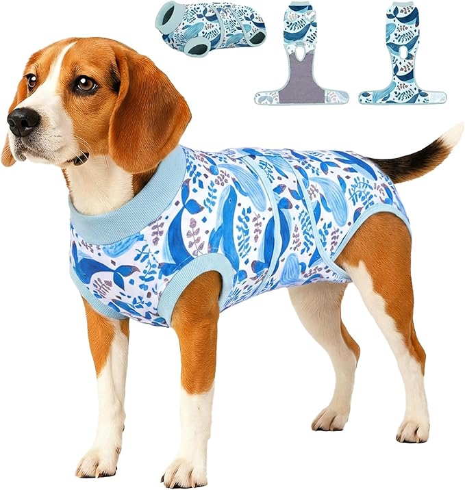 PetWarm Dog Surgery Suit, Cone of Shame Alternatives, Anti-Licking Surgical Recovery Pajamas for Dogs, Female Male Onesie for Dogs Spay Neuter, Dog Recovery Suit, Marine Animal Patterns, Blue, M