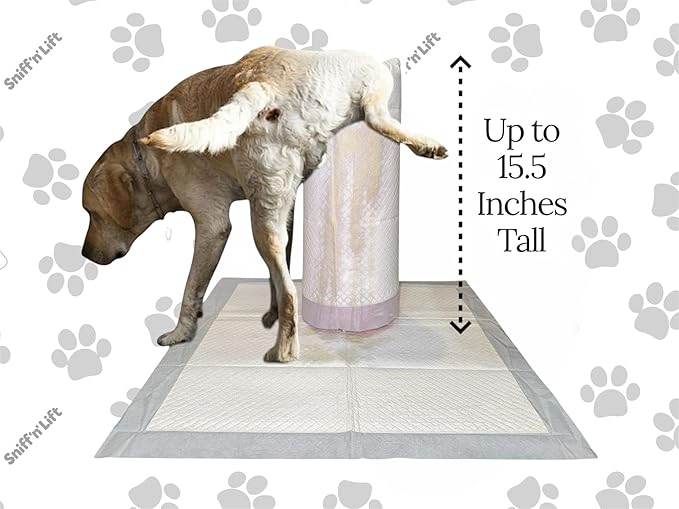 Indoor Dog Pee Post | Provides a Target to Aim | Keeps Pee on Pad | Training Aid | for All Dog Sizes