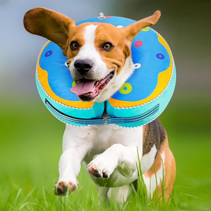 Inflatable Reflective Dog Cone Collar Alternative After Surgery,Dog Neck Donut,Recovery Soft Protective E Collar,Adjustable,for Small Medium and Large Dog Cats (Blue, S)
