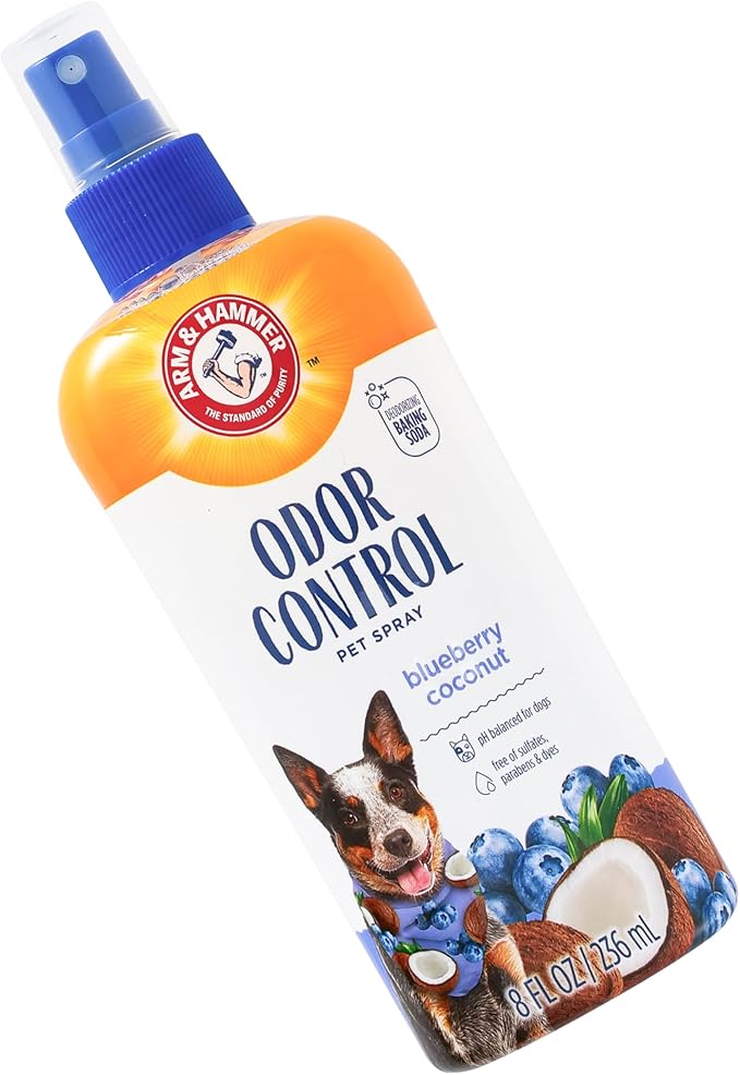 Arm & Hammer for Pets Odor Control Spray for Dogs, Blueberry Coconut, Odor Eliminating Dog Spray, Dog Deodorizer, 8 Fl Oz