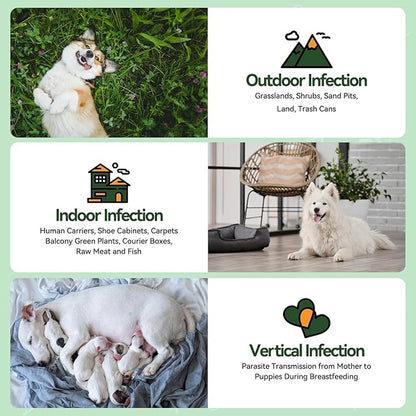 Carmelie Flea and Tick Prevention for Dogs - 200 Chews Natural Dog Flea and Tick Support, Oral Flea Supplement for All Dogs, Supports Healthy Skin & Coat, Puppy Flea Protection - Chicken Flavor