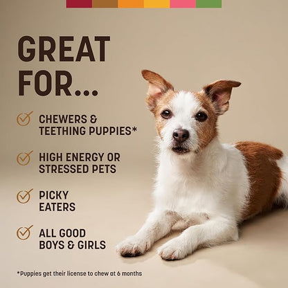 Earth Animal No Hide Chews - Long Lasting Rawhide Free Small Dog Chews Rolls, Venison - 2 Count