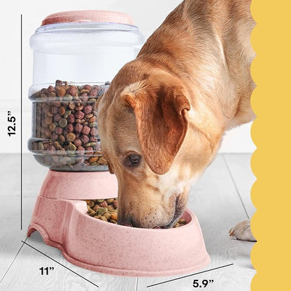 Noa Store Automatic Pet Feeder - 1 & 3 Gallon Cat Water and Food Dispenser, H2O, BPA-Free