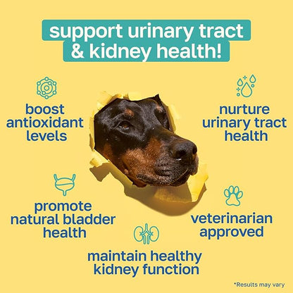 Happy Paws Bladder Supplement, Dog Urinary Tract Supplements & Kidney Support with Cranberry & Antioxidants, Soft Chews for All Breeds & Ages, Vegan Chicken Flavor, (100 Chews)