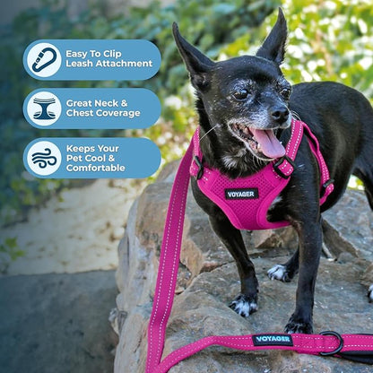 Best Pet Supplies Voyager Adjustable Step-in Flex Breathable Mesh Dog Harness for Small Medium Large Dogs (Fuchsia), L