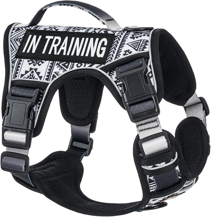 AUNZO No Pull Dog Harness for Small Dog Breeds, Anti-Escape Easy Walking Reflective Adjustable Lightweight Dog Vest with Breathable Oxford Material, Easy on Easy Off with Neck Buckle,Black Ethnic XS