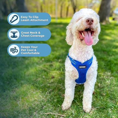 Best Pet Supplies Voyager Adjustable Step-in Flex Breathable Mesh Dog Harness for Small Medium Large Dogs (Royal Blue), XS