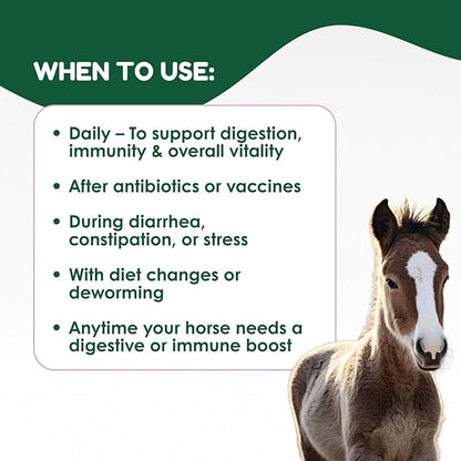 Horse Probiotic Paste – 8 Billion CFU Equine Probiotic with Prebiotics & Vitamins – Hindgut Health, Digestive Balance & Feed Efficiency Support – Pack of 2 / 80CC Each