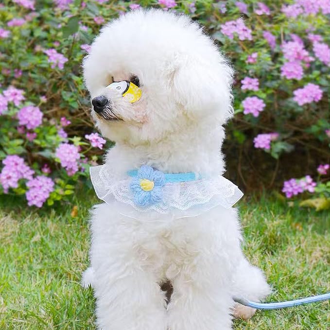 Cat Harness Collar and Leash Set, Sweet Lace Floral Kitten Collar, Escape Proof Puppy Chest Harness, Adjustable Cute Harness Leash Set for Cat Puppy Dog Outdoor Walking (Blue, S)
