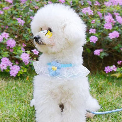 Cat Harness Collar and Leash Set, Sweet Lace Floral Kitten Collar, Escape Proof Puppy Chest Harness, Adjustable Cute Harness Leash Set for Cat Puppy Dog Outdoor Walking (Blue, S)