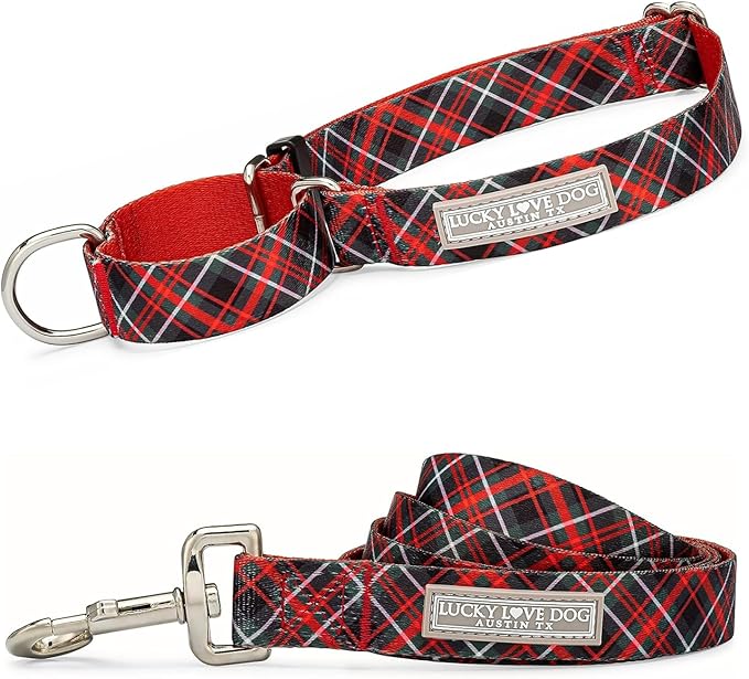 Lucky Love Dog Martingale Dog Collar & Leash - Adjustable, No-Slip, Durable, Comfortable, Soft Webbing, & Stylish Patterned Collar & Leash Set for Male and Female Dogs - Heywood Combo, Small