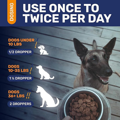 Natural Antibiotics for Dogs for Allergies, Infections, Coughs, Digestive Moments – Dog Antibiotics with Beef Flavor May Support Urination and Breathing – Organic Composition with Cranberry – 2 Oz