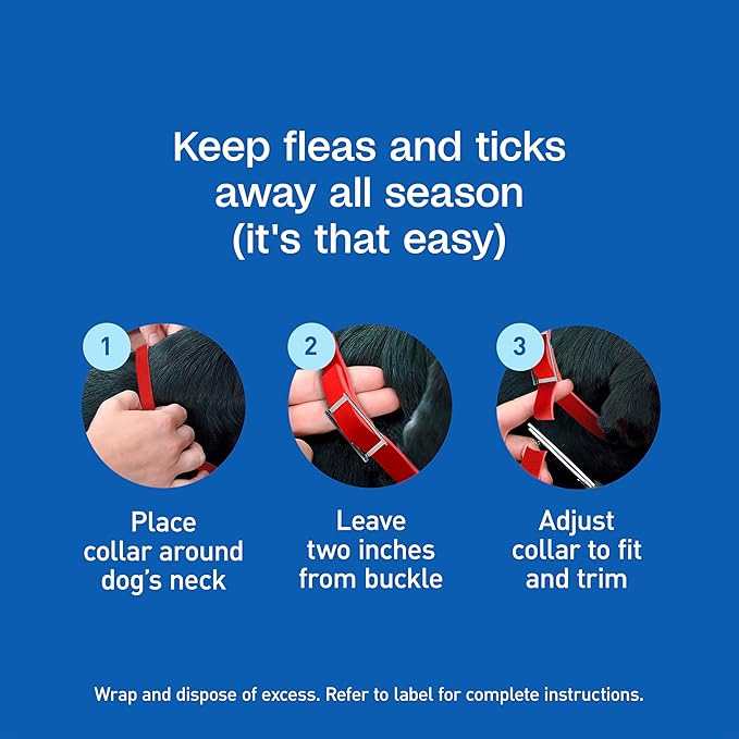 ADAMS Plus Flea & Tick Collar for Small Dogs, Flea Collar for 7-Month Prevention, Adjustable Collar Fits Small Dogs & Puppies, Kills Fleas & Ticks, 1 Count