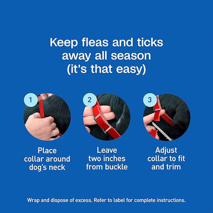 ADAMS Plus Flea & Tick Collar for Small Dogs, Flea Collar for 7-Month Prevention, Adjustable Collar Fits Small Dogs & Puppies, Kills Fleas & Ticks, 1 Count