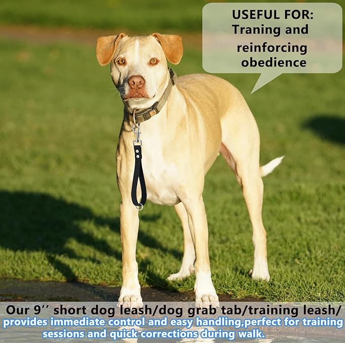 Short Dog Leash - 9 Inch Dogs Lead Grab Tab Heavy Duty Waterproof PVC Dog Training Traffic Leashes for Safety Control Behavior Correction Hiking Backup & All Breeds(Violet, 9'')