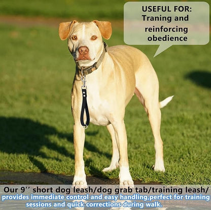 Short Dog Leash - 9 Inch Dogs Lead Grab Tab Heavy Duty Waterproof PVC Dog Training Traffic Leashes for Safety Control Behavior Correction Hiking Backup & All Breeds(Tea Green, 9'')