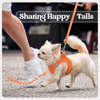 rabbitgoo Dog Harness Small Medium Sized and Leash Set, Step in Soft Light Puppy Vest, Breathable Mesh Pet Harness, Reflective for Safe Easy Walking, Orange XL