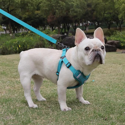 Dog Harness and Leash Set, Adjustable Triangle, Reflective Adjustable Puppy Vest, No Pull Soft Mesh Harness for Small, Medium Dogs, Cats (Turquoise, L)