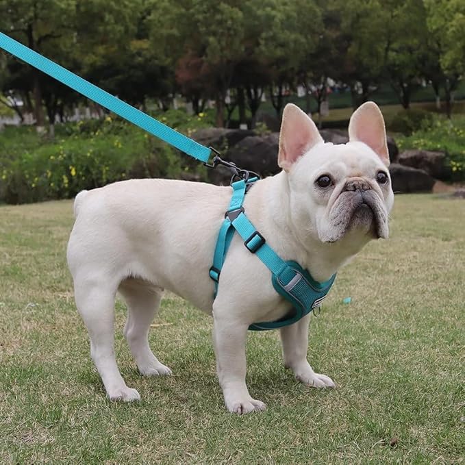 Dog Harness and Leash Set, Adjustable Triangle, Reflective Adjustable Puppy Vest, No Pull Soft Mesh Harness for Small, Medium Dogs, Cats (Turquoise, M)