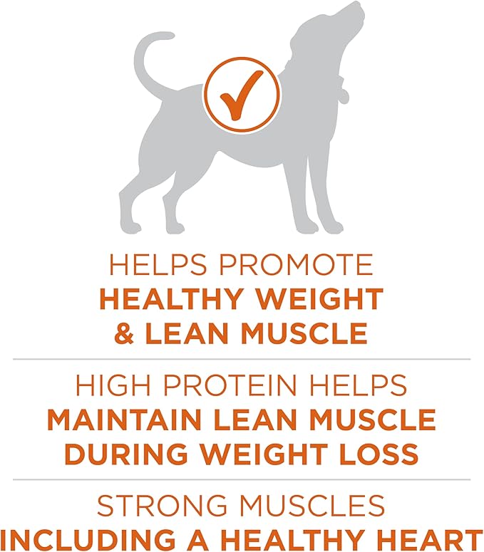 Purina ONE Plus Healthy Weight High-Protein Dog Food Dry Formula - 8 lb. Bag