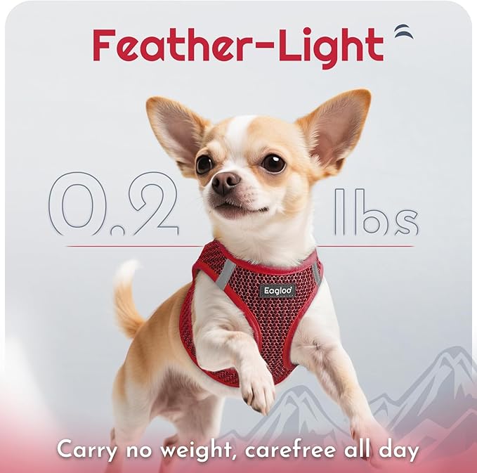 Eagloo Small Dog Harness and Leash Set, Step in Puppy Vest with Breathable Soft Mesh, Walking Reflective Pet Harness for Small Dogs, Red, XS