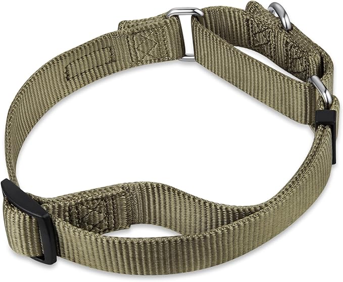Hyhug Martingale Dog Collar Medium Green |Escape - Proof Heavy Duty Nylon Durable No Slip, Ideal for Training & Daily Walks