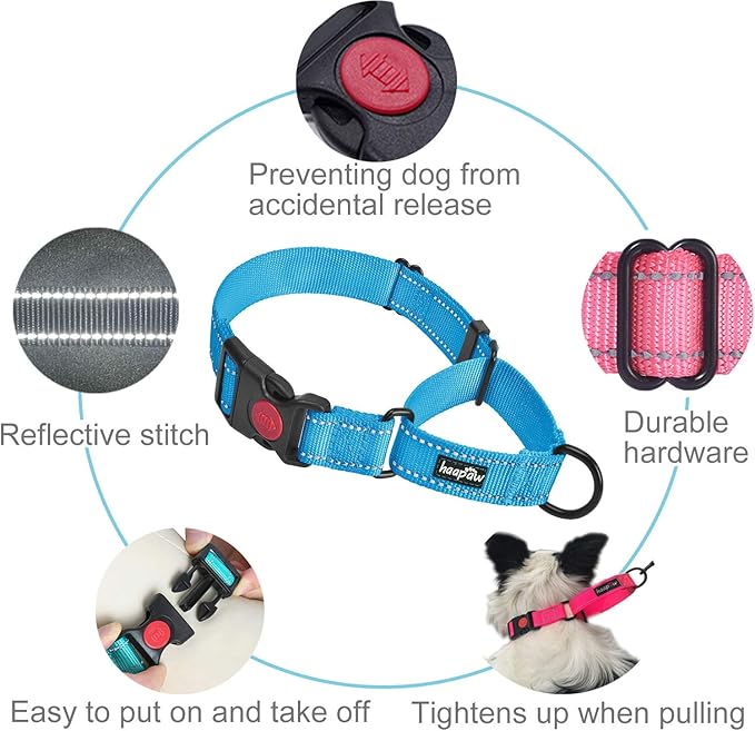 haapaw Martingale Dog Collar with Quick Release Buckle Reflective Dog Training Collars for Small Medium Large Dogs