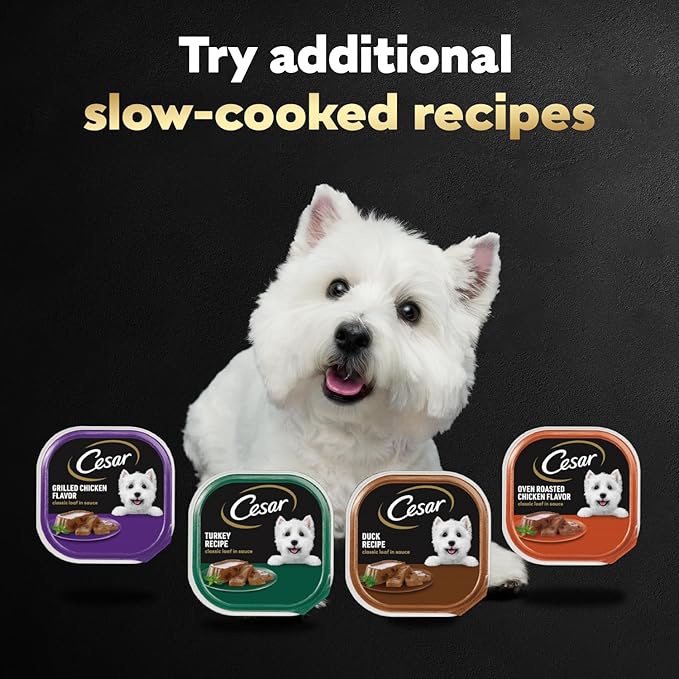 Cesar Classic Loaf in Sauce Adult Wet Dog Food Poultry Lovers Variety Pack with Real Chicken, Turkey or Duck, 3.5 oz Easy Peel Trays, 36 Count