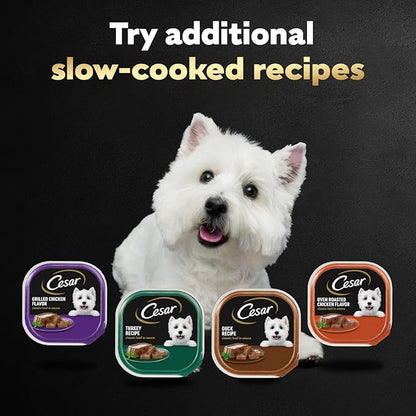 Cesar Classic Loaf in Sauce Adult Wet Dog Food Poultry Lovers Variety Pack with Real Chicken, Turkey or Duck, 3.5 oz Easy Peel Trays, 36 Count