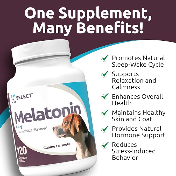 K9 Select Melatonin for Large Dogs - Anxiety Relief Treats for Sleep, Stress, Thunderstorms & Fireworks - Calming Chews for Dogs Anxiety Small & Large Breed, 6 mg, 120 Peanut Butter Tablets