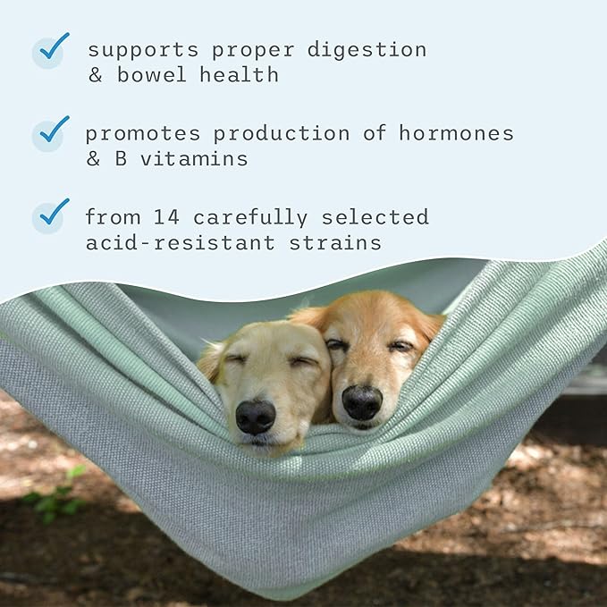 Bark & Whiskers, Complete Probiotics, for Cats and Dogs, 3.17 oz (90 g), Supports Immune Function, Digestive Support, Non GMO, Soy Free, Gluten Free