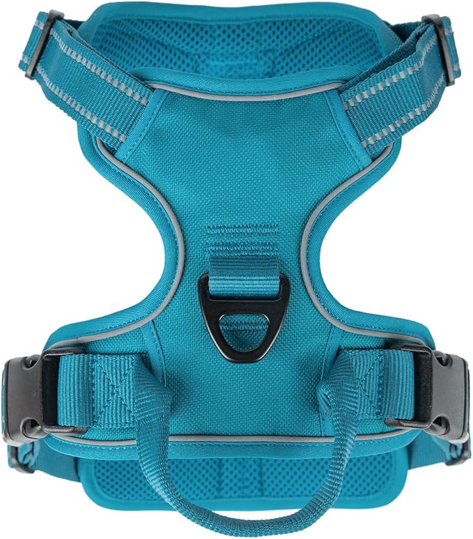 Voyager Dog Harness Dual Leash Attachment No-Pull Control Adjustable Soft but Strong Pet Harness for Medium and Large Dogs with 3M Reflective Technology, Turquoise Nylon, S (Chest: 16-20")