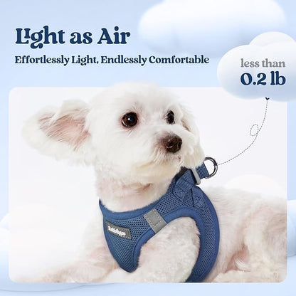 rabbitgoo Dog Harness Small Sized and Leash Set, Step in Soft Light Puppy Vest, Breathable Mesh Pet Harness, Reflective for Safe Outdoor Walking, Navy Blue M