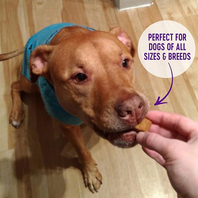 Wellness WellBars Dog Treats, Natural, Training Treat, Grain Free, Crunchy Yogurt, Apples & Banana (45 Ounce Bag)