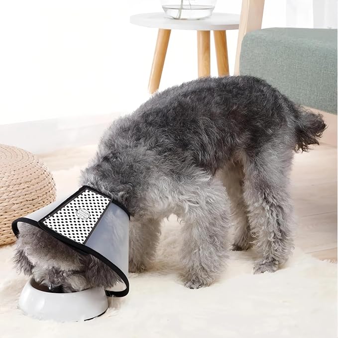 Cone for Dogs to Stop Licking, E Collar for Dogs After Surgery, Dog Recovery Collars & Cones - Safe Physical Barrier, Easy to Clean, Comfortable Wear, Promote Wound Healing, Prevent Self-Mutilation